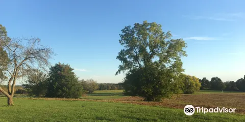 Bristoe Station Battlefield Heritage Park