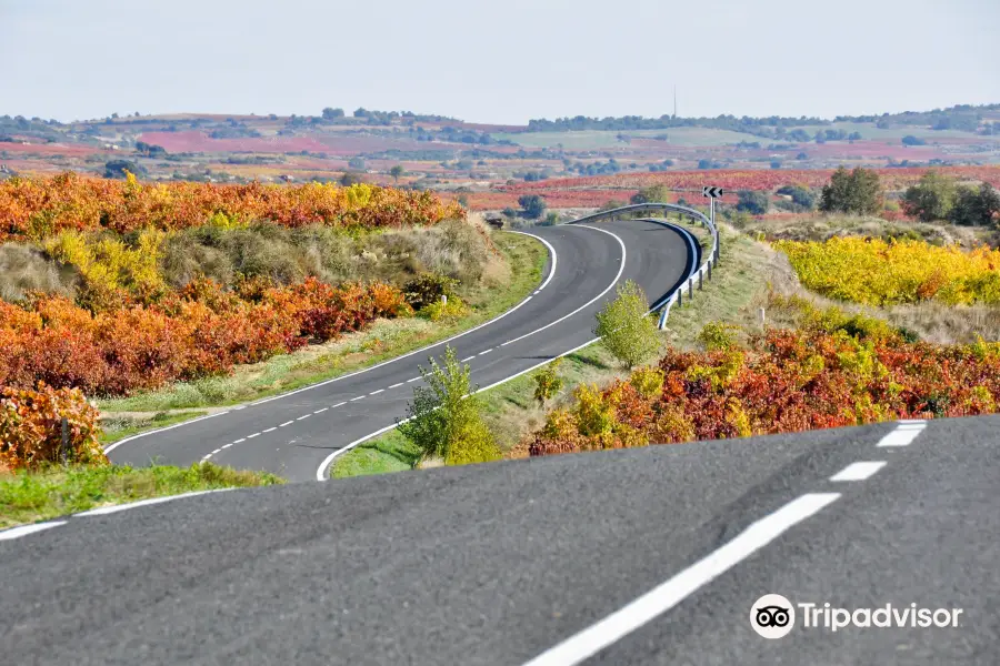 La Rioja Bike Tours