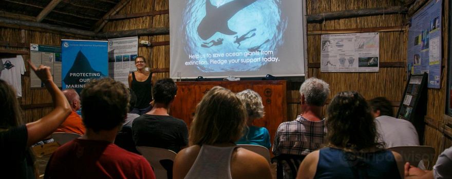Marine Megafauna Foundation