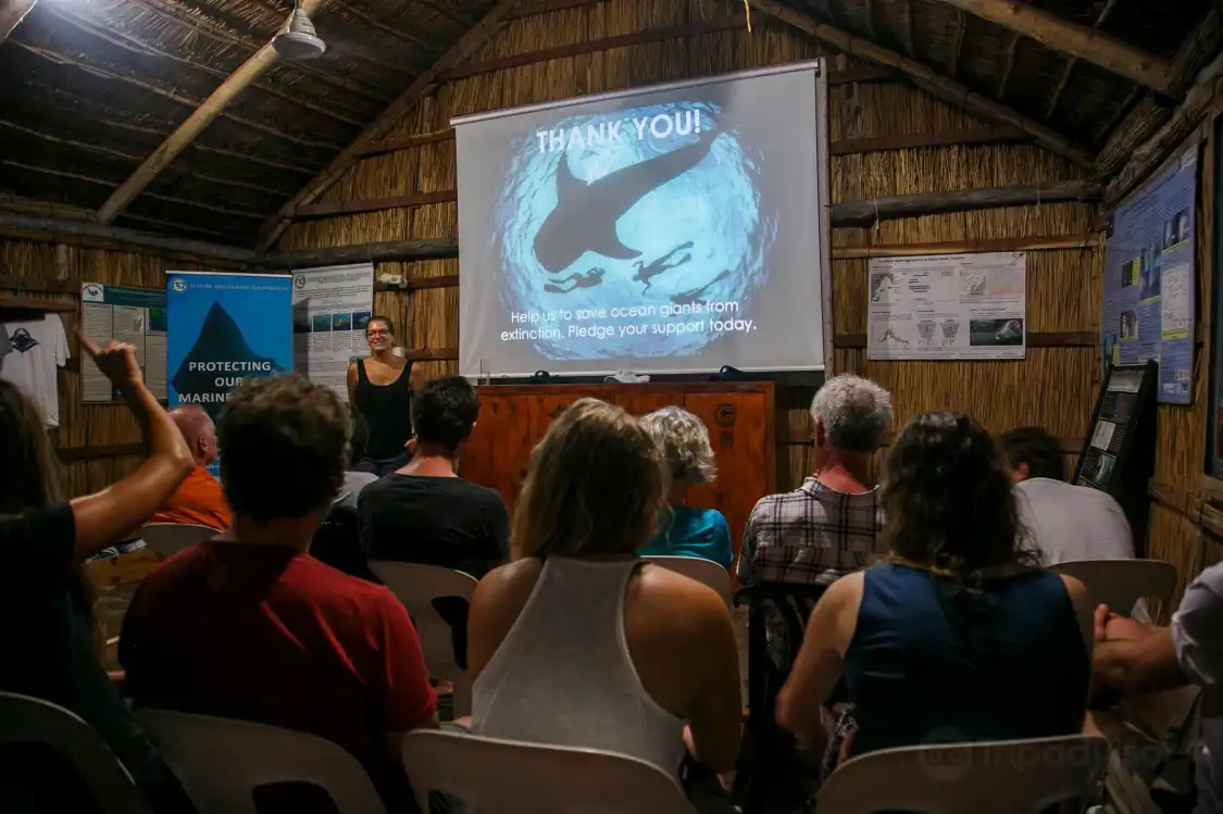 Hotels near Marine Megafauna Foundation