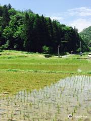 Kewara Rice Terraces