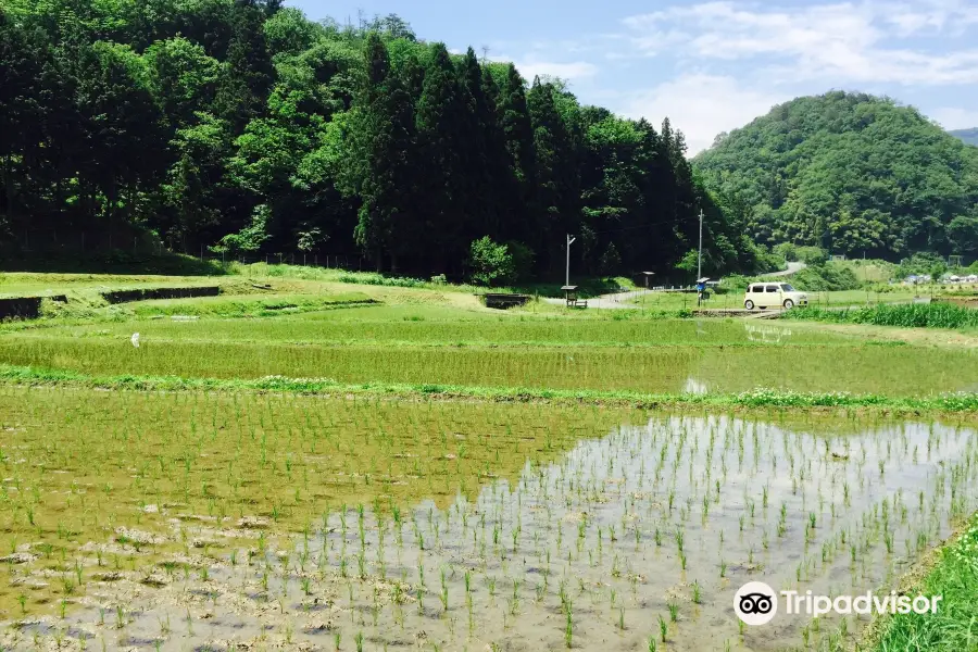 Kewara Rice Terraces