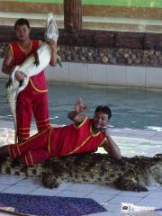Maerim Crocodile Show