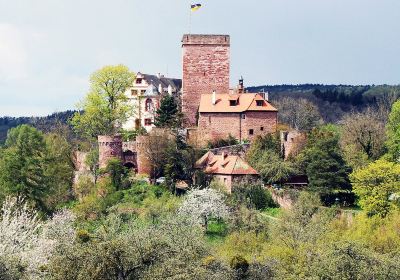 Burg und Burgpark Gamburg