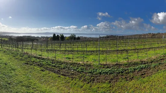 Cantine Capitani