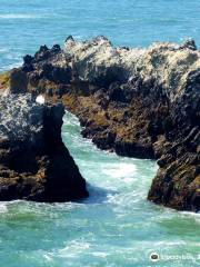 Sonoma Coast State Beach