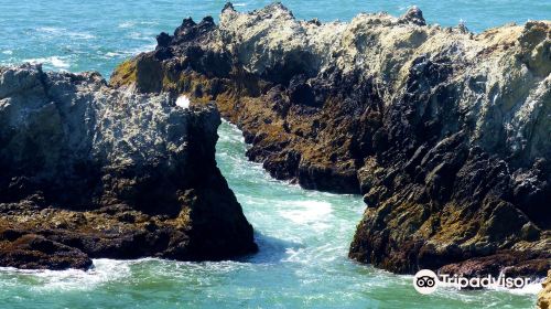 Sonoma Coast State Beach