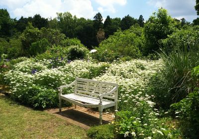 The Dreaming Place Rose Garden