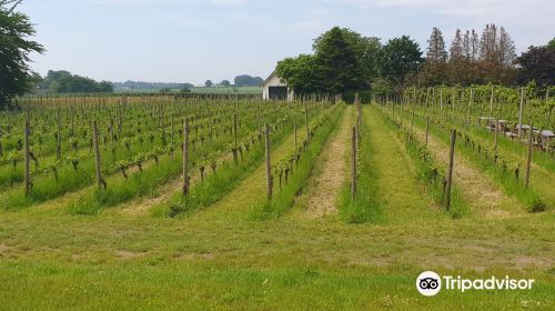 Wijnhoeve de Colonjes