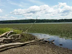 Falling Waters Preserve