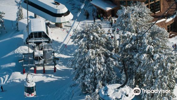 Snowbasin Resort