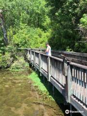 Magnolia Springs State Park