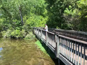 Magnolia Springs State Park