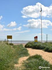 RSPB Tetney Marshes