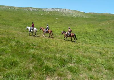 Ranch du Grand Aigle