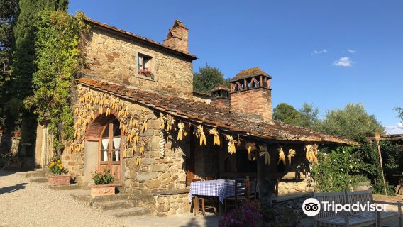 Fattoria La Vialla