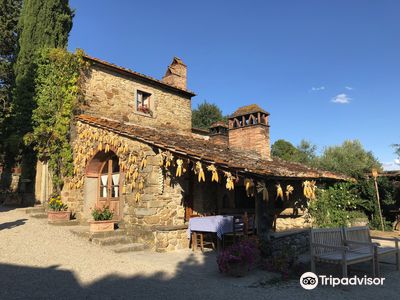 Fattoria La Vialla