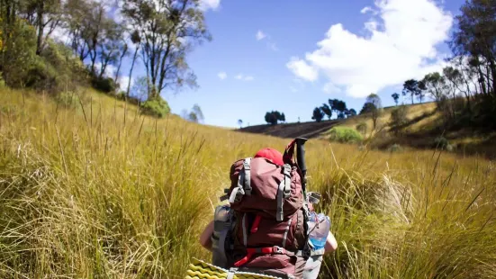 Quetzaltrekkers