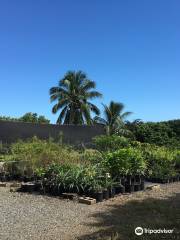 Frankie's Nursery LLC-Tropical Fruit Trees Specialist