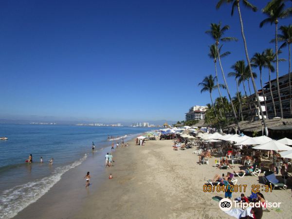 Playa Camarones