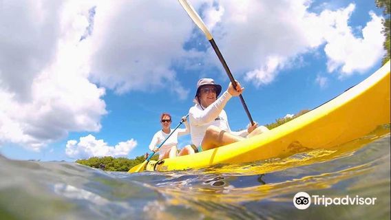 GroundSea Adventures BVI