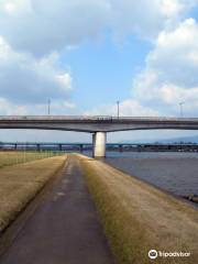 Chiko River Cycling Road