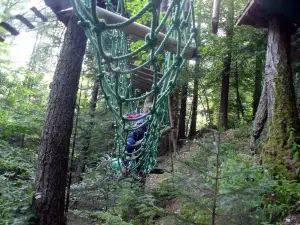 Jungle Laye