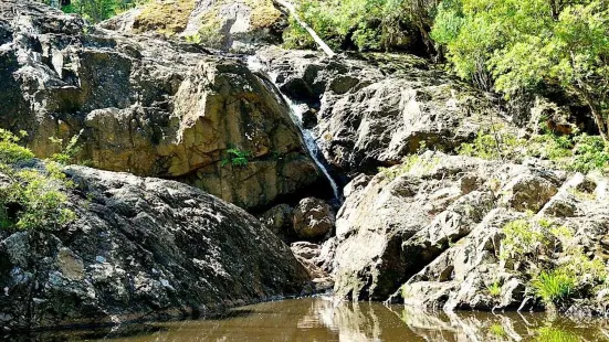 Youngs Creek Falls