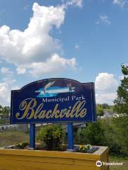 Blackville Municipal Park