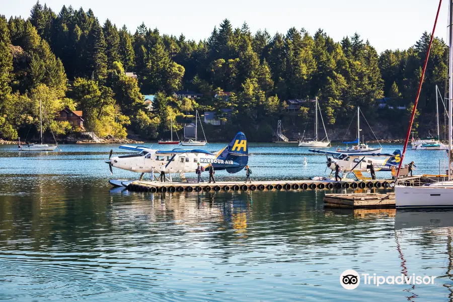 Harbour Air Seaplanes