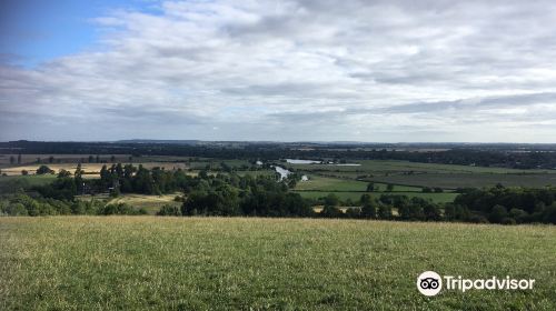 Wittenham Clumps