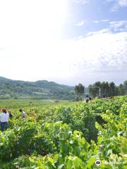 Le Clos de Caveau