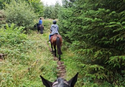 Birr Equestrian Centre