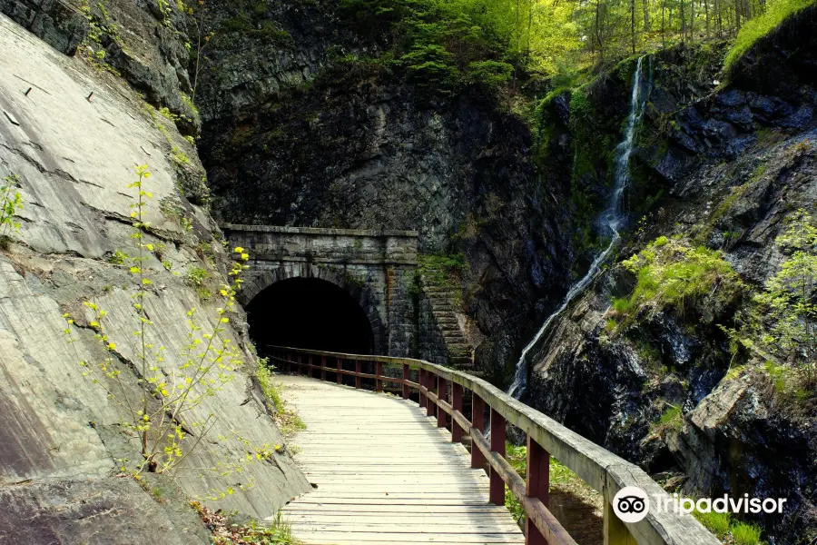 Paw Paw Tunnel