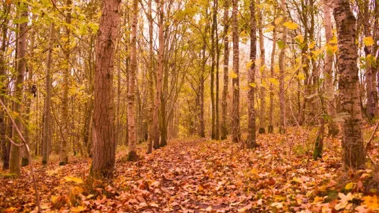 Cotgrave Country Park