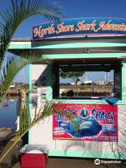 North Shore Shark Adventures