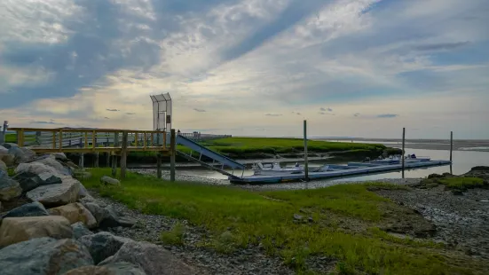 Grays Beach