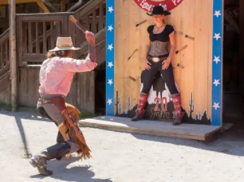 Пульман Сити Вестернштадт