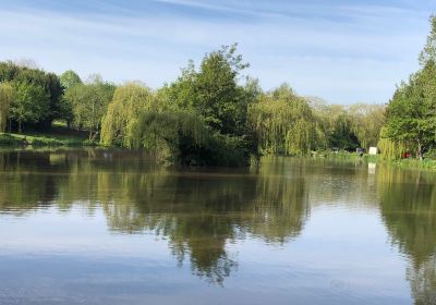 Docklow Pools