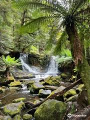 Horseshoe Falls