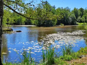 Naturpark Blockheide