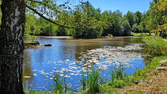 Naturpark Blockheide