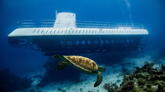 Atlantis Submarines Cozumel