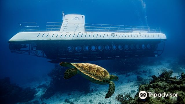 Atlantis Submarines Cozumel