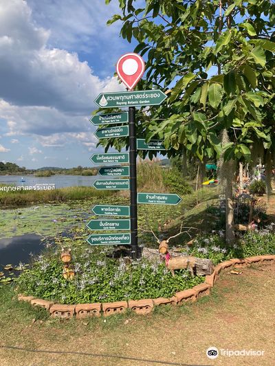 Rayong Botanical Garden (Aquatic Plants and Living Collection)