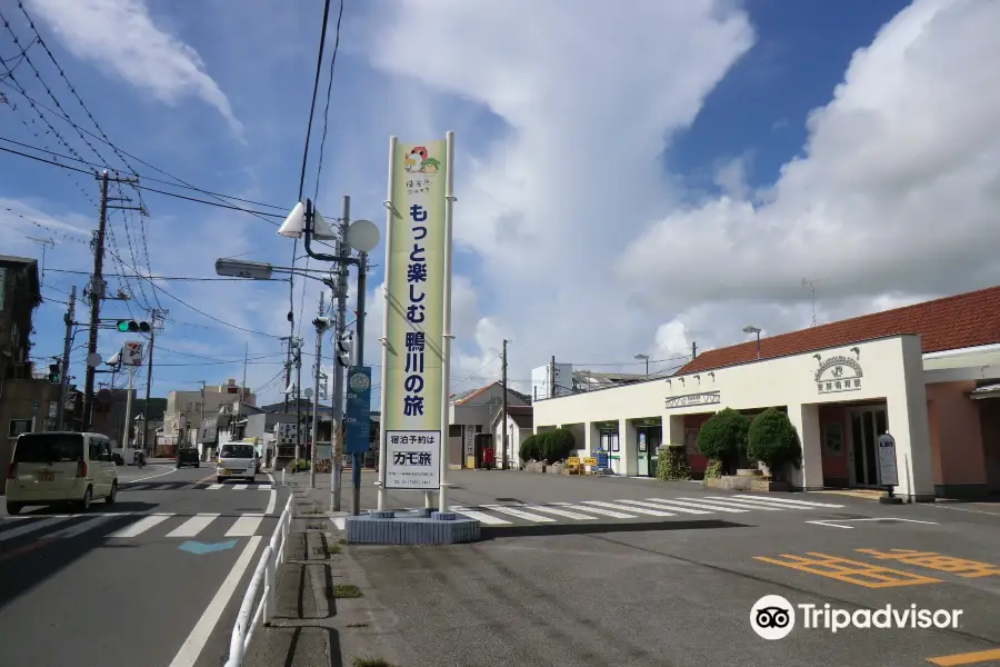 Kamogawa city Sight Tourism association headquarters & A tourist Information centre in front of a Awa-Kamogawa station.
