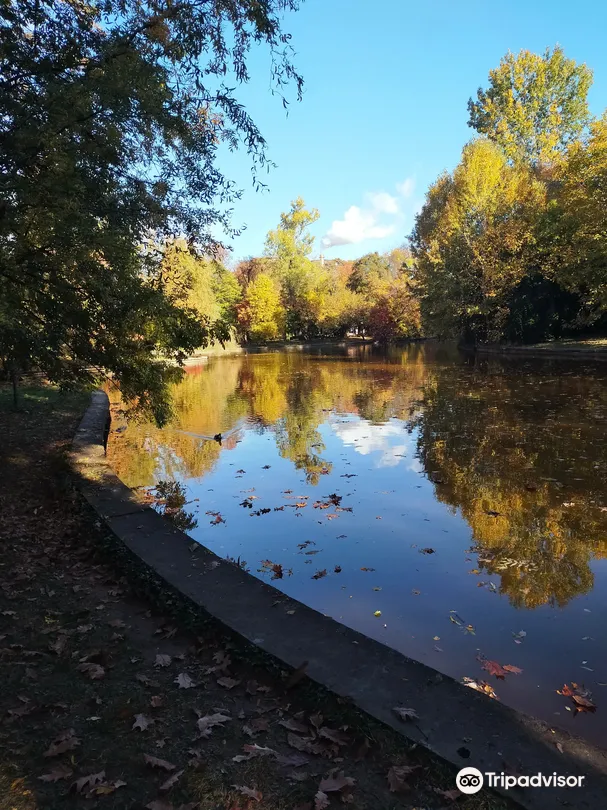 5_"Dimitrie Brândză" Botanical Garden