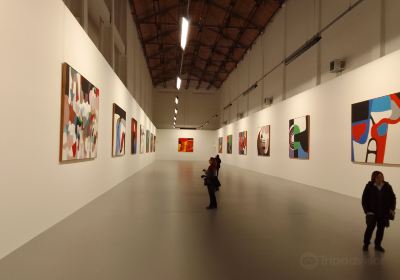 Fondazione Palazzo Albizzini Collection Burri