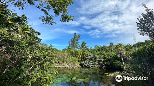 The Yacht Experiences