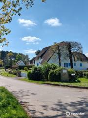 Faune Brièronne : Découverte de la brière en barque ou calèche